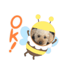 ぽちゃばっと（個別スタンプ：2）