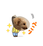 ぽちゃばっと（個別スタンプ：3）