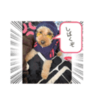 ぽちゃばっと（個別スタンプ：7）