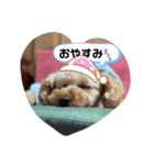 ぽちゃばっと（個別スタンプ：10）