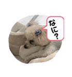 ぽちゃばっと（個別スタンプ：14）