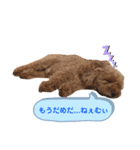 Bell stamp 0603（個別スタンプ：2）