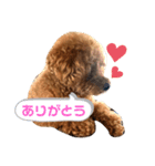 Bell stamp 0603（個別スタンプ：8）