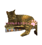 シュールなスタンプ0（個別スタンプ：4）