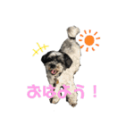 いさむさん（個別スタンプ：1）