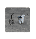 いさむさん（個別スタンプ：6）