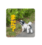 いさむさん（個別スタンプ：7）