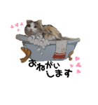 らんてんスタンプ（個別スタンプ：7）