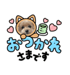 トイプードルRION（個別スタンプ：7）