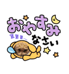 トイプードルRION（個別スタンプ：9）