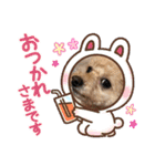 トイプードルRION（個別スタンプ：17）