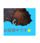 蓮ママスタンプ4（個別スタンプ：14）