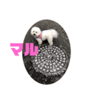 モフモモフモフモフモフモフモフモフモフ（個別スタンプ：2）