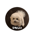 モフモモフモフモフモフモフモフモフモフ（個別スタンプ：6）