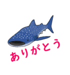 海記念2（個別スタンプ：7）