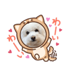 モフモフモフモフモフモフモフモ（個別スタンプ：1）