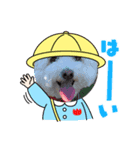 モフモフモフモフモフモフモフモ（個別スタンプ：4）