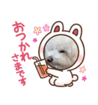 モフモフモフモフモフモフモフモ（個別スタンプ：6）