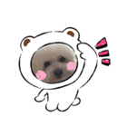 モフモフモフモフモフモフモフモ（個別スタンプ：8）