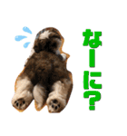 【シーズー犬】なぎたまさんPart 1（個別スタンプ：7）