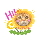 ただただ可愛い、こうめちゃんのスタンプ♡（個別スタンプ：2）