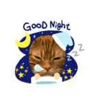 ただただ可愛い、こうめちゃんのスタンプ♡（個別スタンプ：3）