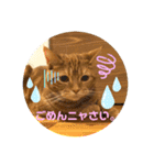 ただただ可愛い、こうめちゃんのスタンプ♡（個別スタンプ：6）