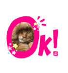ただただ可愛い、こうめちゃんのスタンプ♡（個別スタンプ：7）