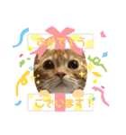 ただただ可愛い、こうめちゃんのスタンプ♡（個別スタンプ：11）