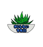 可愛いお花＊植物【日常会話】（個別スタンプ：20）