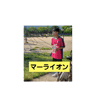 519aoiitumen（個別スタンプ：4）