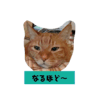 ふうちゃんの巻 Part2（個別スタンプ：3）