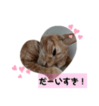 ふうちゃんの巻 Part2（個別スタンプ：4）