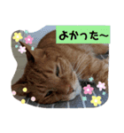 ふうちゃんの巻 Part2（個別スタンプ：5）