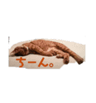 ふうちゃんの巻 Part2（個別スタンプ：12）
