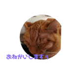 ふうちゃんの巻 Part2（個別スタンプ：15）