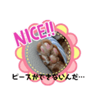 ふうちゃんの巻 Part2（個別スタンプ：16）