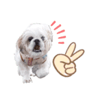 ららの可愛いSTAMP（個別スタンプ：5）