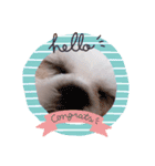 ららの可愛いSTAMP（個別スタンプ：8）