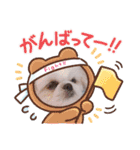 ららの可愛いSTAMP（個別スタンプ：11）