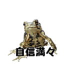 ヒキガエルの会話（個別スタンプ：7）
