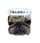 ブヒ…（個別スタンプ：4）