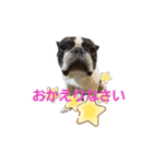 ブヒ…（個別スタンプ：6）