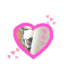 にゃんちゅうううその3（個別スタンプ：24）