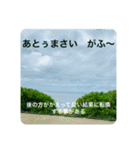 OKINAWAの景色やお花に癒されて②（個別スタンプ：6）