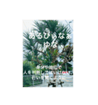 OKINAWAの景色やお花に癒されて②（個別スタンプ：15）