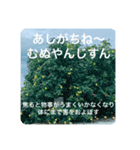 OKINAWAの景色やお花に癒されて②（個別スタンプ：17）