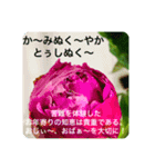 OKINAWAの景色やお花に癒されて②（個別スタンプ：19）