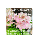 OKINAWAの景色やお花に癒されて②（個別スタンプ：20）
