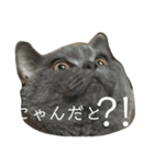 友達んちのにゃんこちゃんたち（個別スタンプ：2）